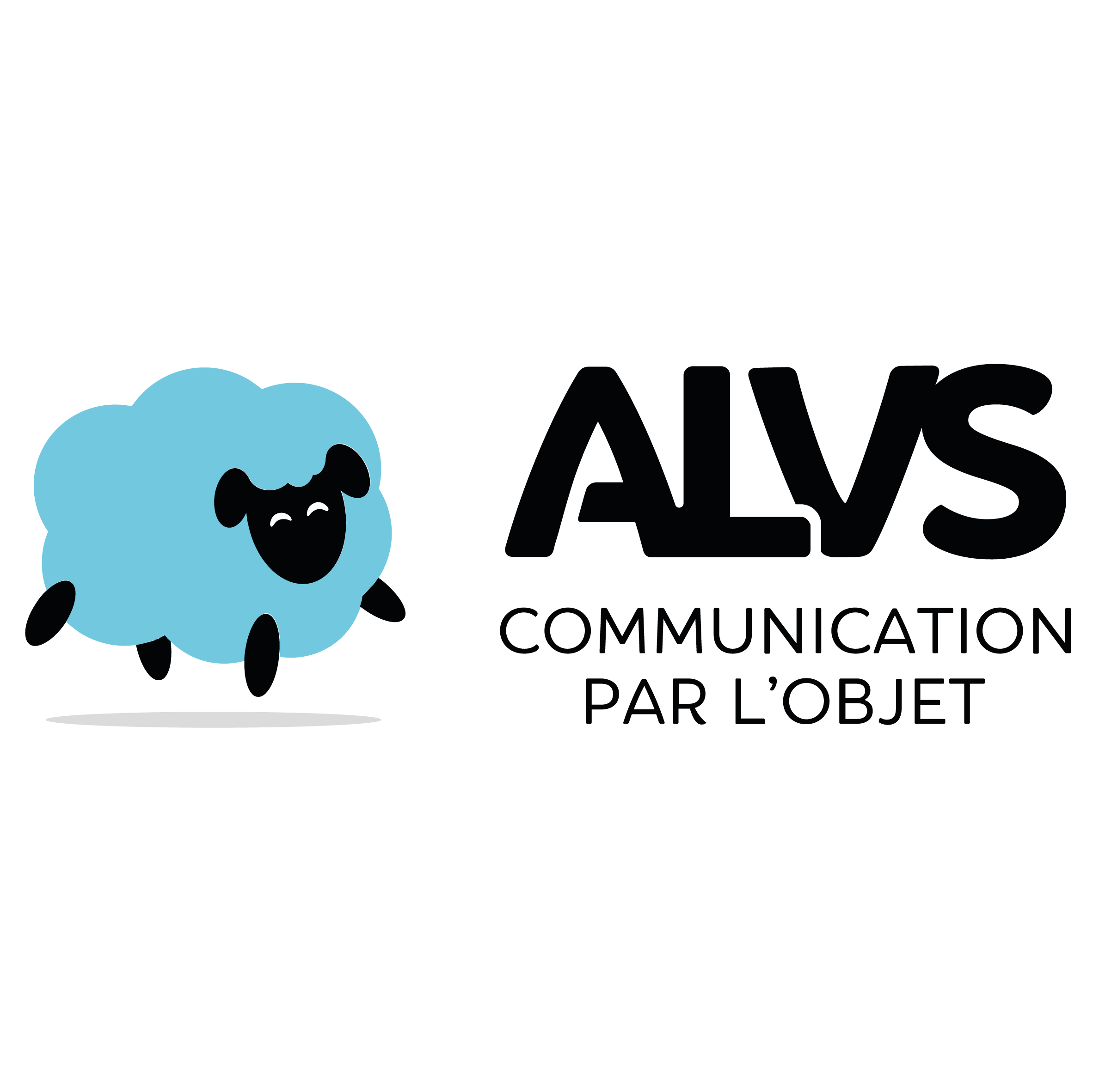 logo ALVS
