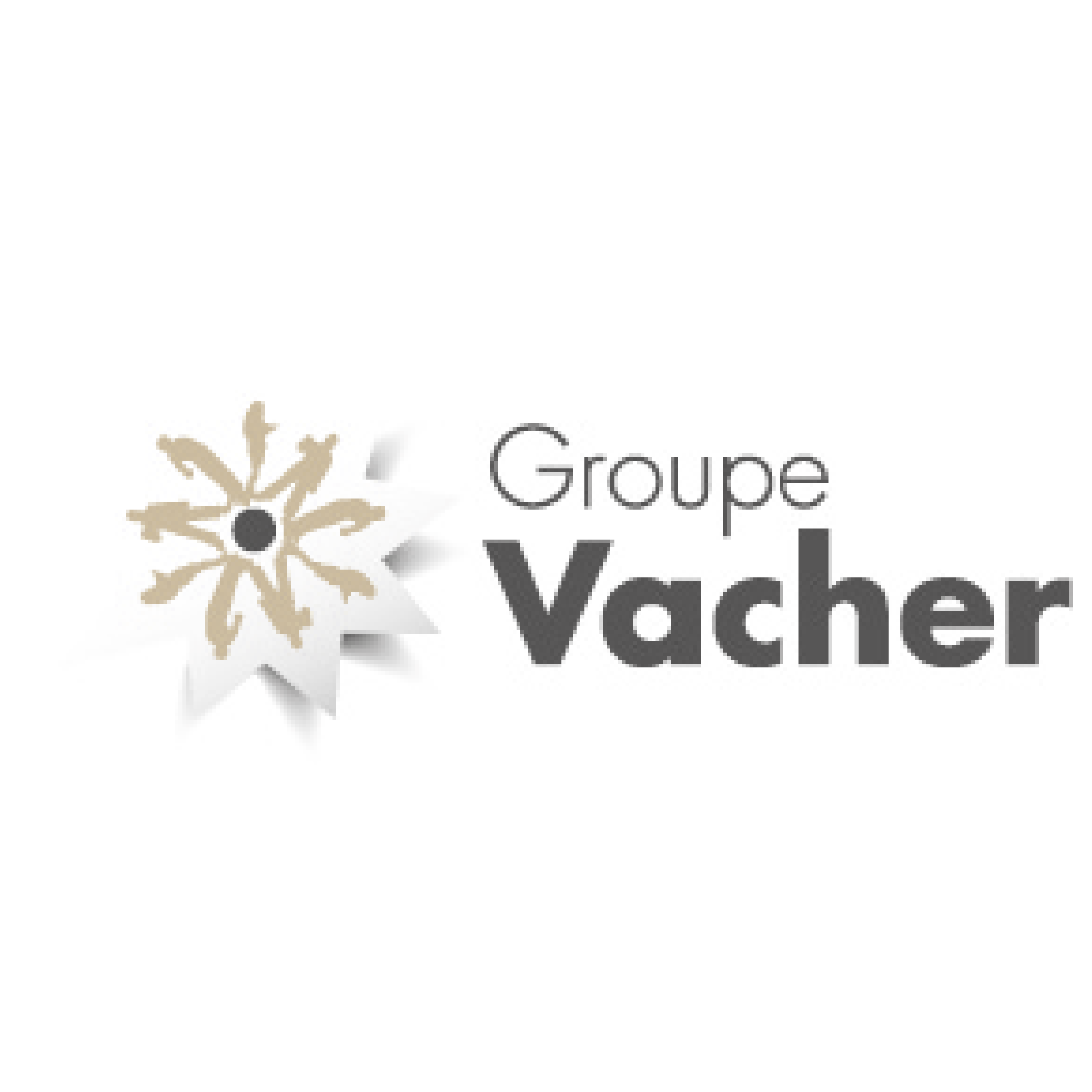 logo Groupe Vacher