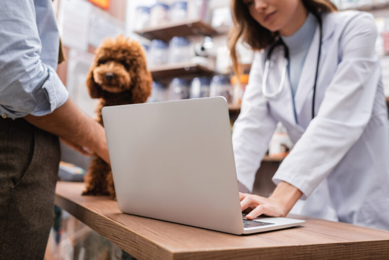cropped view of blurred veterinarian using laptop near customer and poodle in pet shop
