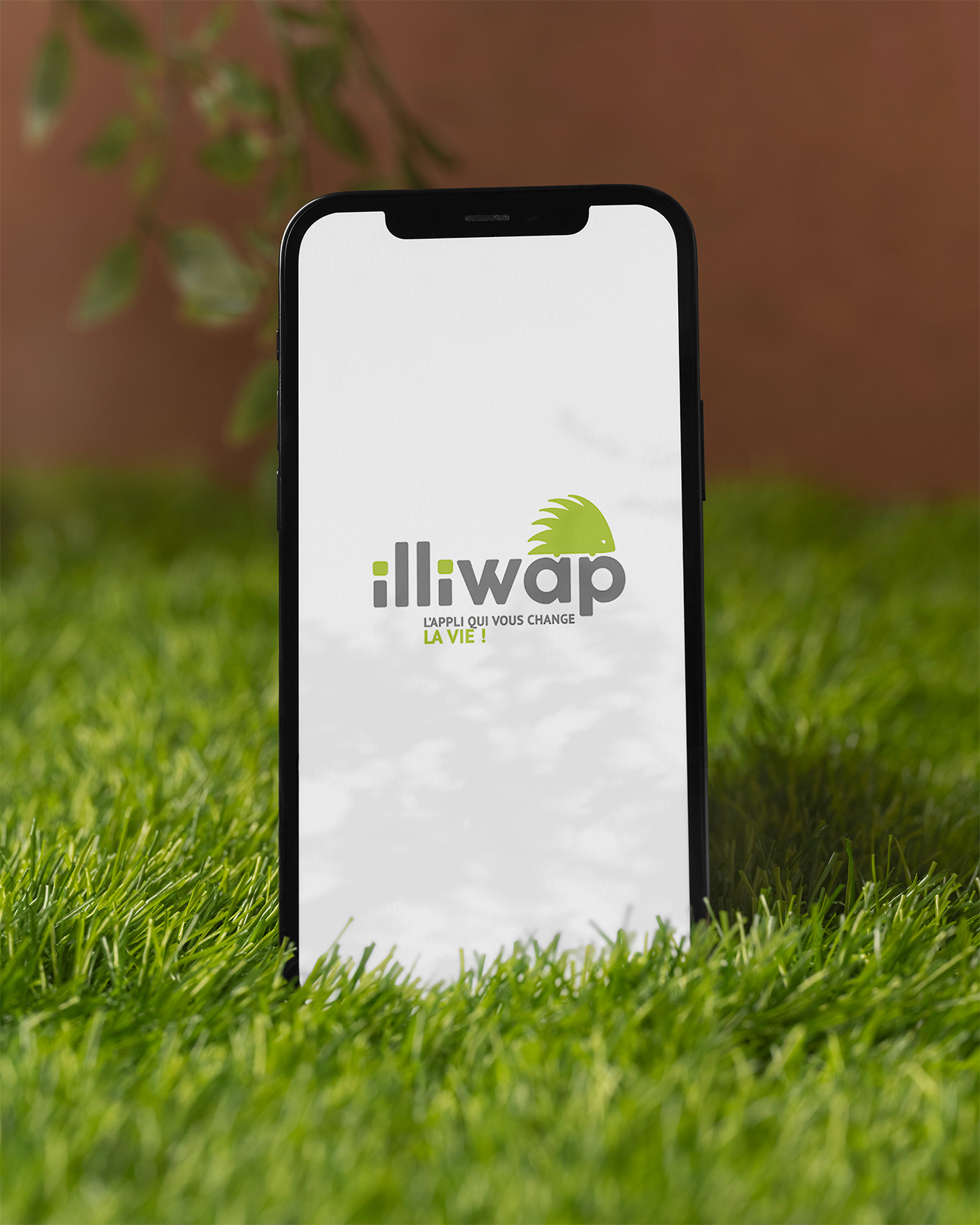 
                    illiwap