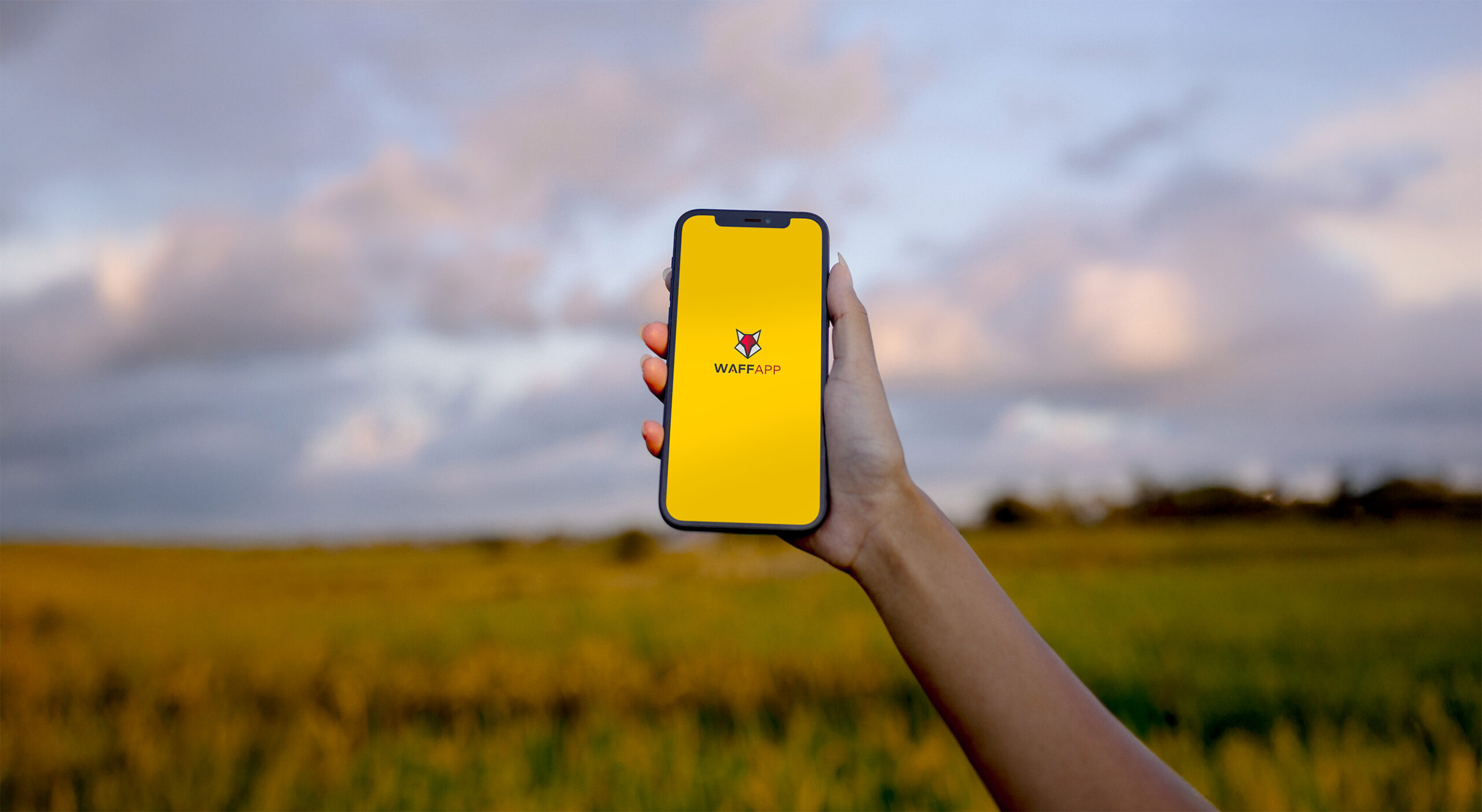 création et developpement d'application web metier sur mesure