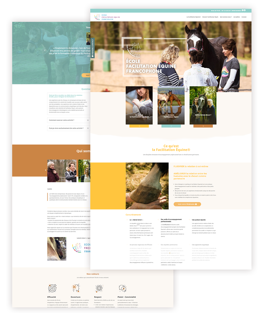 création de site one professionnel