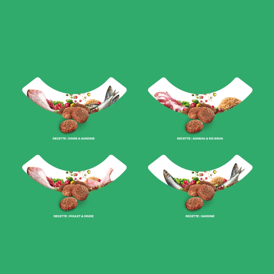 mockup etude cas botanic 18